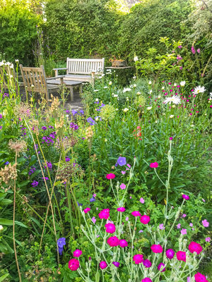 Photo 25- click for photo gallery